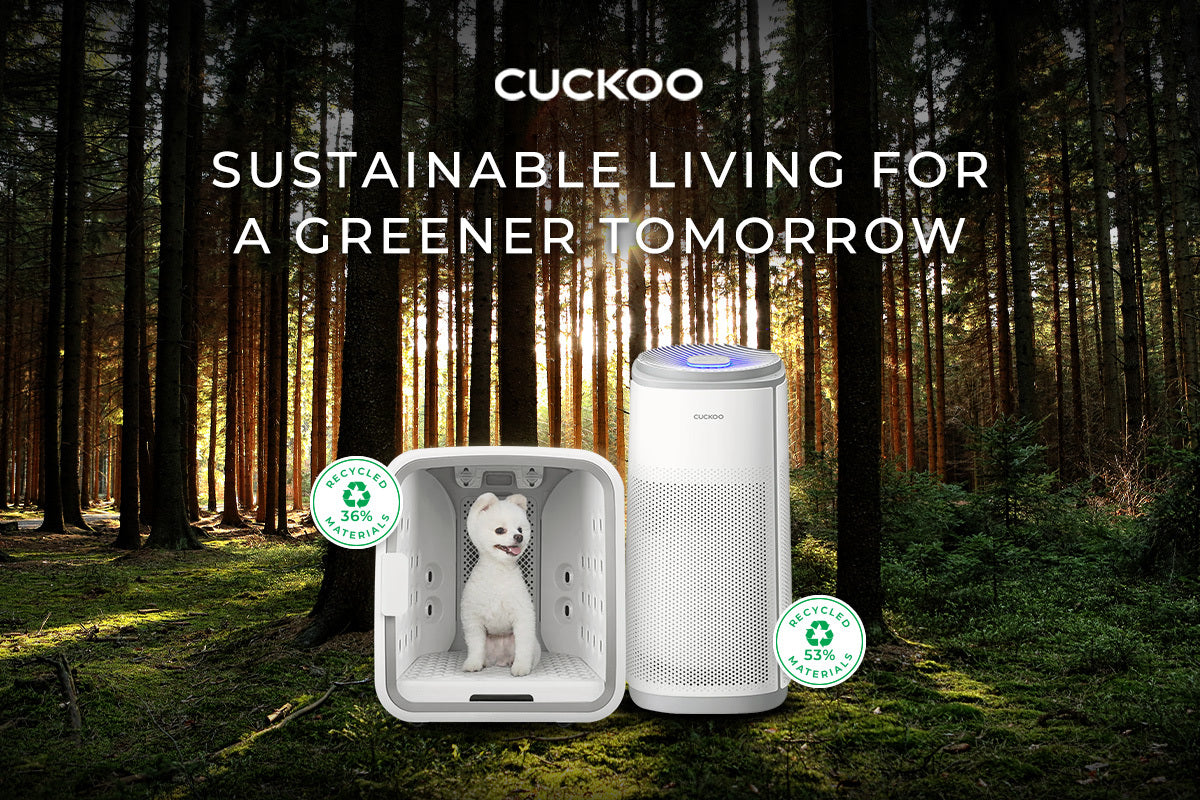 Green Eco-Conscious Designs: What are Sustainable Home and Kitchen Appliances?