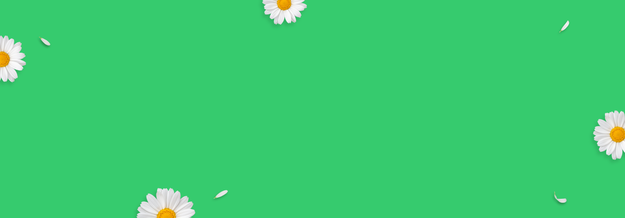 Spring into Your Kitchen ๐ผ