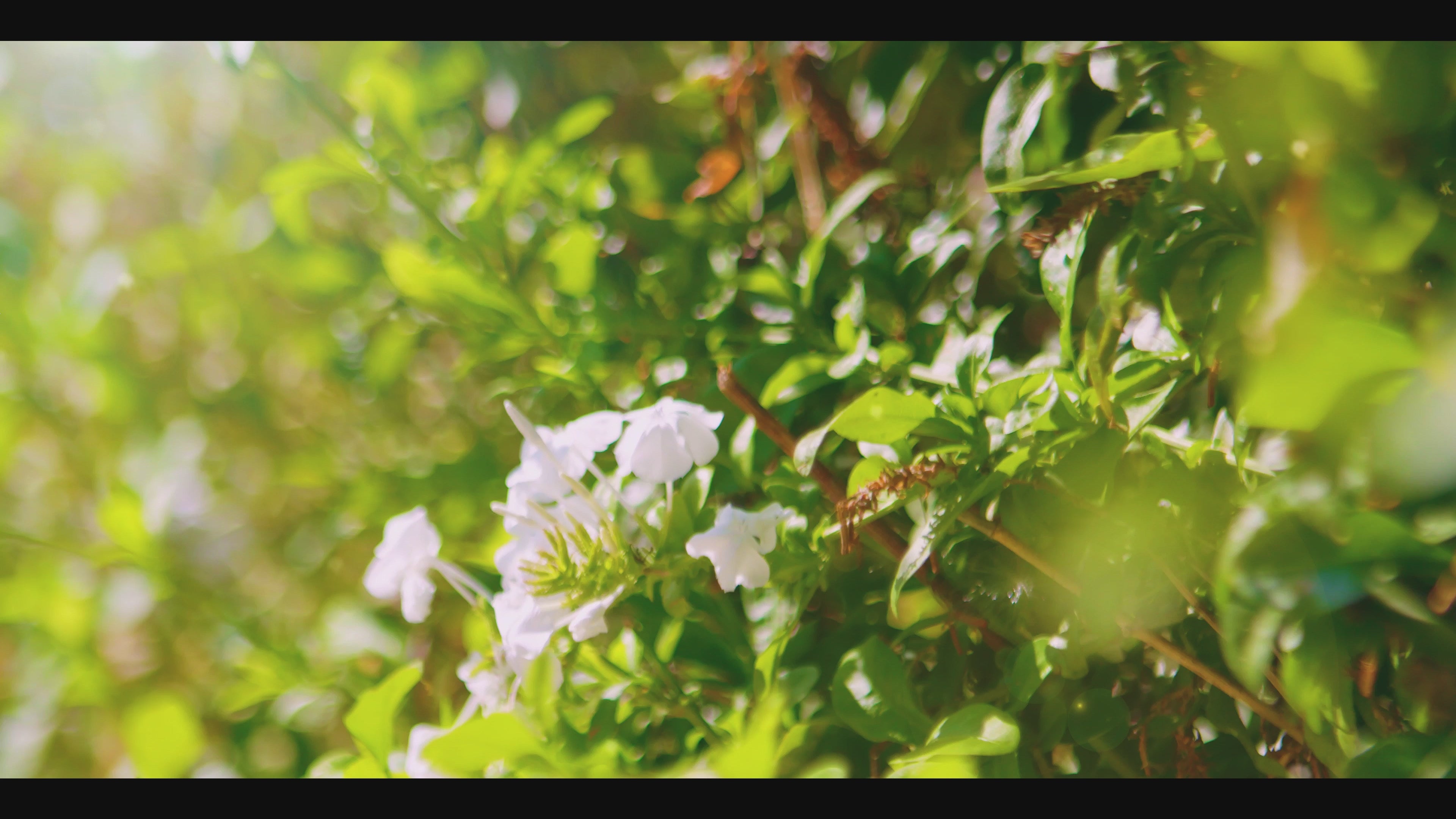 3단계 필터 H13 True HEPA 공기청정기 (CAC-R1510FW)