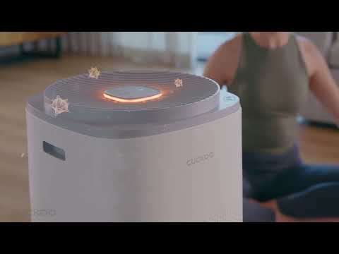 5-Stage Filtration H13 True HEPA Air Purifier (CAC-K1910FW)