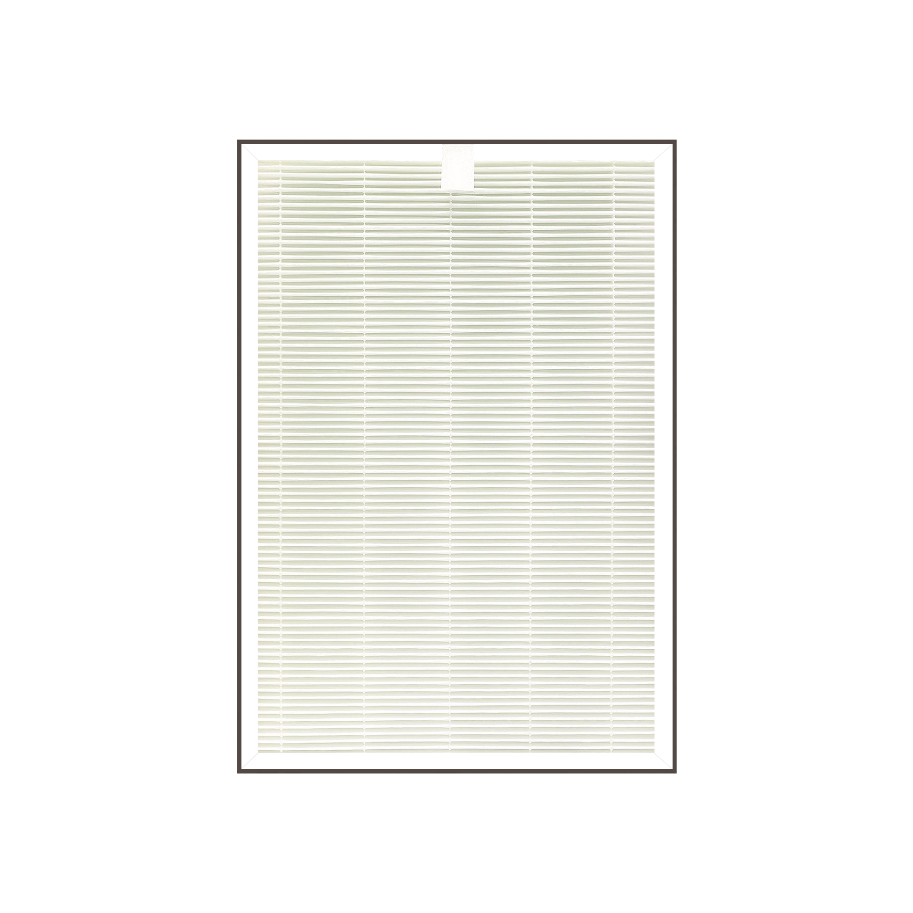 H13 True HEPA Replacement Filter (1-Year) for CAC-AA0910FW (CACF-AAMT10(HP,DE))